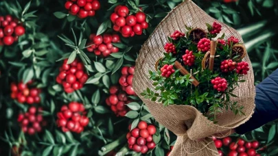 Yılbaşı Çiçeğinin Sırları: Kokina'nın Anlamı ve Efsanesi!