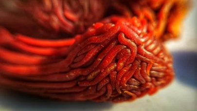 Sindirim Sistemini Hızlandıran Doğal Ağrı Kesici: Baharatlar