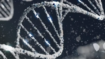 Y kromozomunun yok olması erkeklerin neslinin tükenmesine yol açabilir mi? Y kromozomunun kaybolma sebepleri nelerdir?