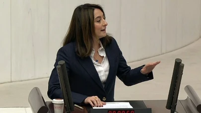 Aysu Bankoğlu Kimdir? CHP Bartın Milletvekili’nin Eğitim ve Siyasi Kariyeri