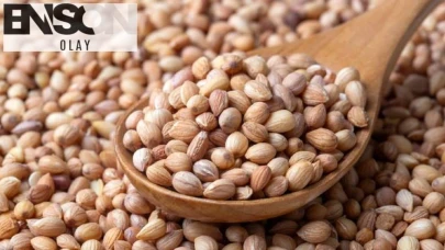Bayraktar TB2T’den başarılı performans testi