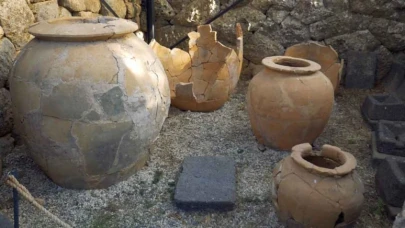 Çin çömleğiyle ülkeye giriş yaptı, arıların en büyük düşmanı oldu: Milyonlarca euro ekonomik kayba yol açıyor