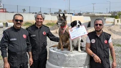 Mersin İtfaiyesi'nin K9 ekibi uluslararası sınavda birinci oldu