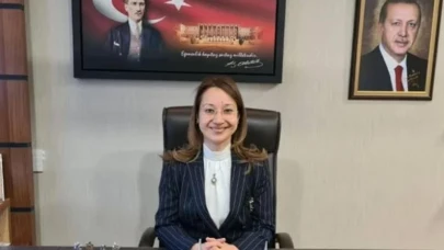 Kamu kurumu dikkate alınmadı: Elektrik işi AKP’li vekilin kurucu olduğu şirkete verilmiş