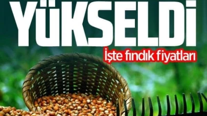 12 NİSAN FINDIK FİYATLARI | Ordu, Giresun, Sakarya, Samsun, Trabzon, Zonguldak, Kocaeli, Düzce serbest piyasa fındık fiyatları...
