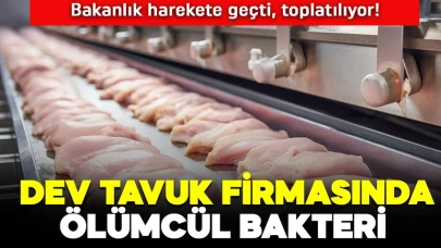 Dev tavuk firmasının ürünlerinde zararlı bakteri tespit edildi! Bakanlık harekete geçti: Toplatılıyor!