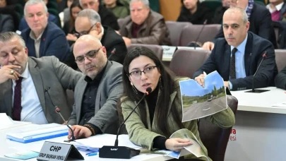 AKP'li isim CHP'li kadın siyasetçinin üzerine yürüyüp ağza alınmayacak küfürler etti