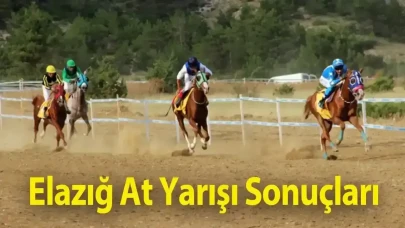 Elazığ 29 Nisan 2025 Salı At Yarışı Sonuçları!
