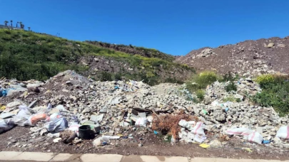 Koruma altındaki Halep çamı ormanını çöplüğü çeviren şirkete milyonluk ceza