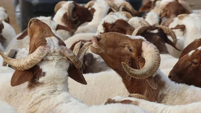 2025 yılındaki Kurban Bayramı tarihi ve tatil süresi belli oldu!