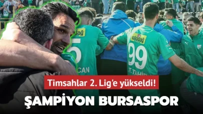 Ve şampiyon Bursaspor! Timsahlar 2. Lig'e yükseldi