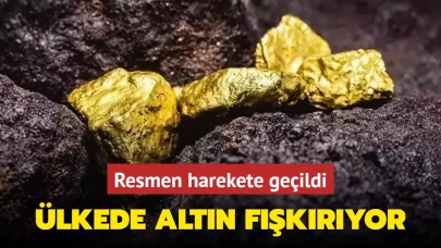 Ülkede altın fışkırıyor: Resmen harekete geçildi