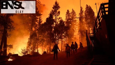 ABD'de yangınına müdahale eden itfaiyecilere ateş açıldı: 2 ölü