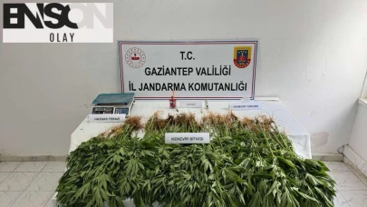 Gaziantep’te Jandarmadan Tacirlere Operasyon!