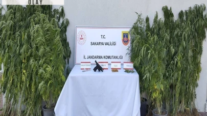 Saksıda kenevir yetiştiren kişi tutuklandı
