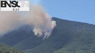 Hatay’da Orman Yangını Alarmı: Ekipler Müdahale Ediyor