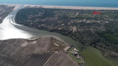 Mikroplastik Kirliliği Akdeniz Lagünlerinde Alarm Veriyor!