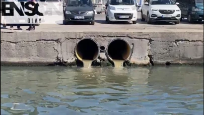 Balıkesir'de çevre katliamı cezasız kalmadı
