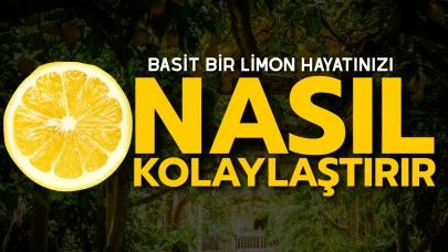 Sıradan Bir Limonun Faydaları: Hayatınızı Kolaylaştıracak 7 Şaşırtıcı Kullanım Alanı