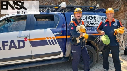 Ayağı kırılan leylek için seferber oldular