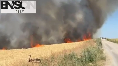 Ankara'da buğday tarlasında yangın; 40 dönüm ekili alan zarar gördü