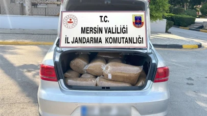 Mersin’de kaçak tütün operasyonu