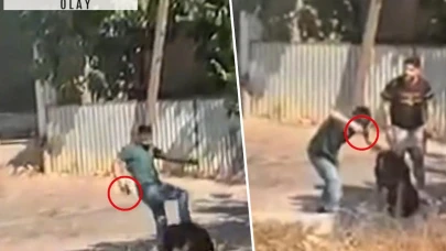 İstanbul'da sokak ortasında şoke eden görüntüler: Genç kız feryat etti