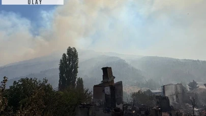 AFAD açıkladı: Sakarya- Bilecik yangınında son durum