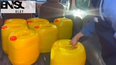 Piyasa değeri 36 milyon 600 bin TL! İstanbul'da ele geçirildi