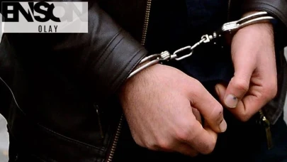 Beykoz'da orman yangını çıkmasına neden olan kişi tutuklandı