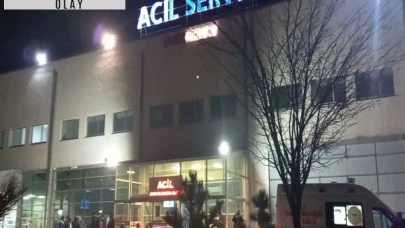 Birlikte yaşadığı kadını bıçaklayarak öldürdü