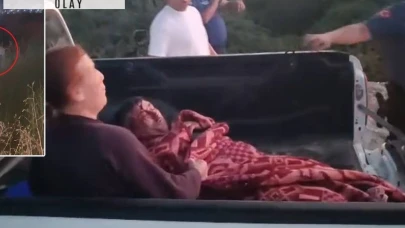Manavgat'ta aslanın kaçtığı park mühürlendi