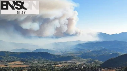 AFAD'dan Hatay'daki orman yangınlarına ilişkin açıklama