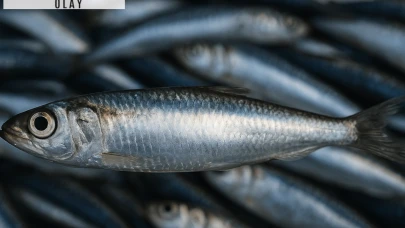 Türkiye rekor kırdı: 19 ülke aynı balığı yedi