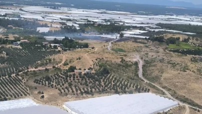 Antalya'da makilik alanda yangın çıktı