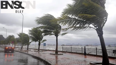 Tayland'ı Wipha fırtınası vurdu: 7 ölü, 143 yaralı