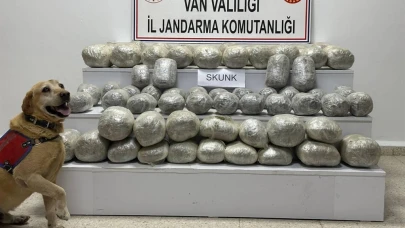 Van’da 97 kilo skunk ele geçirildi