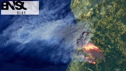 Portekiz alev alev: 3 büyük orman yangınına karşı seferberlik