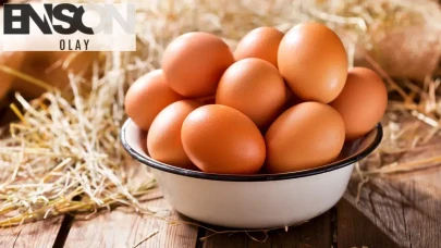 Yumurta israfına karşı yeni düzenleme!