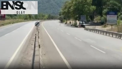 Sakarya'da orman yangını: D-650 yolu trafiğe kapandı, evler tahliye edildi