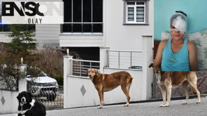 Şanlıurfa'da dehşet: Köpekten kaçarken araba çarptı