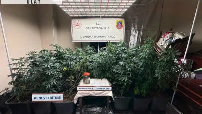 Sakarya'da uyuşturucuya 1 tutuklama