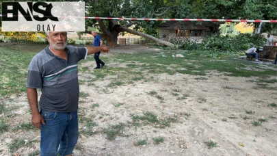 Piknikçilerin üzerine ağaç dalı düştü: 11 yaralı