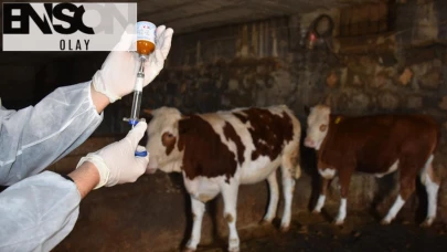 Bakan Yumaklı: 8,5 milyon doz şap aşısını sahaya gönderdik