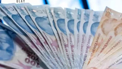 Türk lirası temmuzda da değer kaybetti