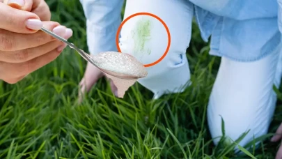 Cıvıl cıvıl görünüm için çimen lekesi çıkarma yöntemleri!