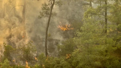 Ezine'deki Orman Yangınına Ekiplerin Müdahalesi Devam Ediyor