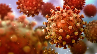 Nipah Virüsü Hakkında Güncel Bilgiler ve Türkiye'deki Durumunu Merak Ediyor musunuz?