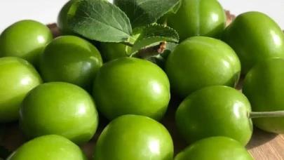 Rüyada erik görmek ne demek? Rüyada erik toplamak ne anlama geliyor?