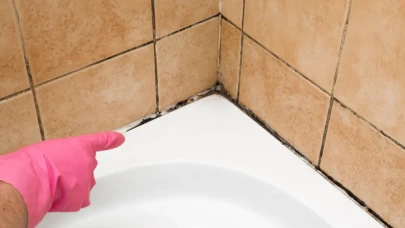 Banyodaki küfü sadece dakikalar içinde ortadan kaldıran etkili yöntem!